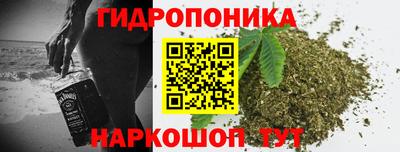 mdpv Кандалакша