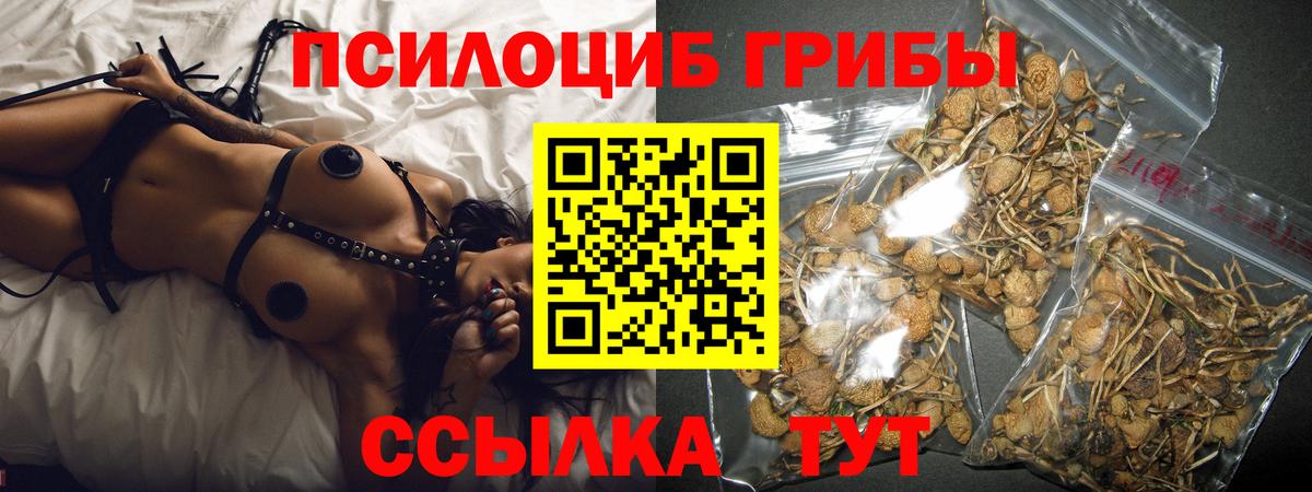 Кубинка  Псилоцибиновые грибы GOLDEN TEACHER  Вход с VPN 